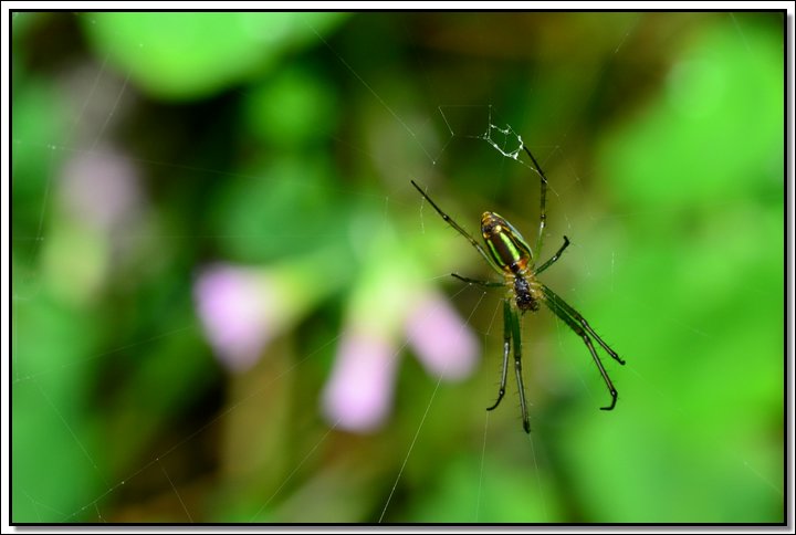 DSC_8377.jpg