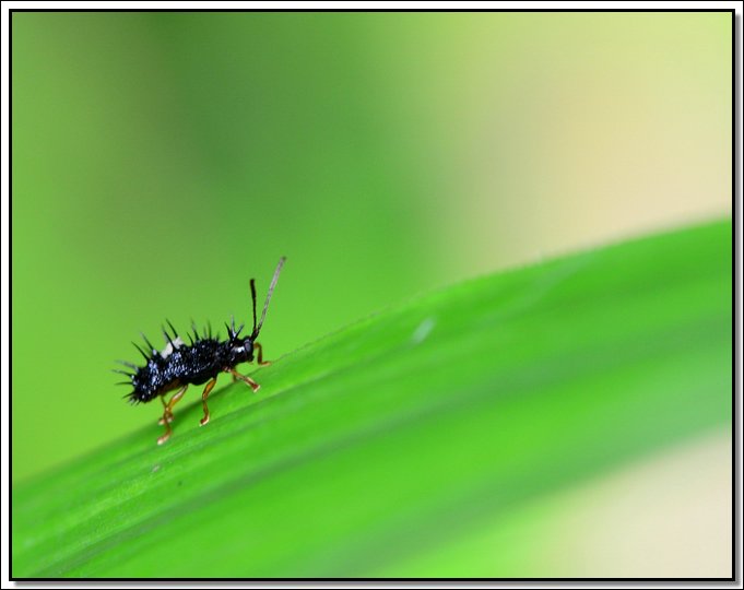 DSC_8458.jpg