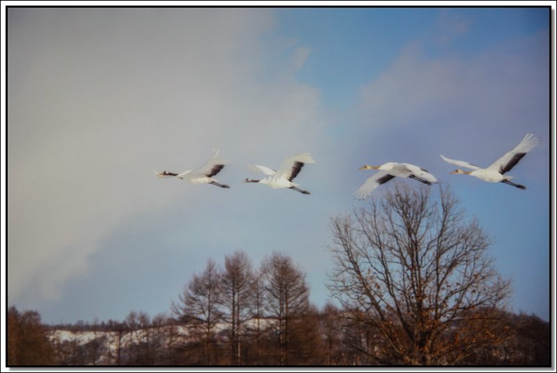 DSC_3533.jpg