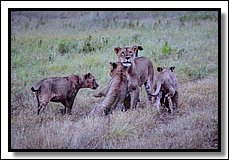 DSC_3512.jpg