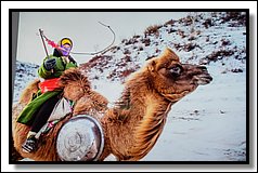 DSC_3588.jpg