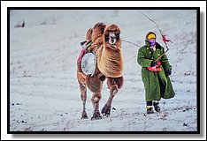 DSC_3589.jpg