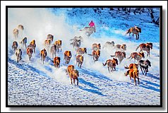 DSC_3595.jpg