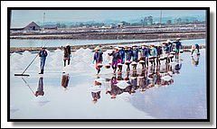 DSC_3607.jpg