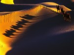 Thumbs/tn_s10605.jpg