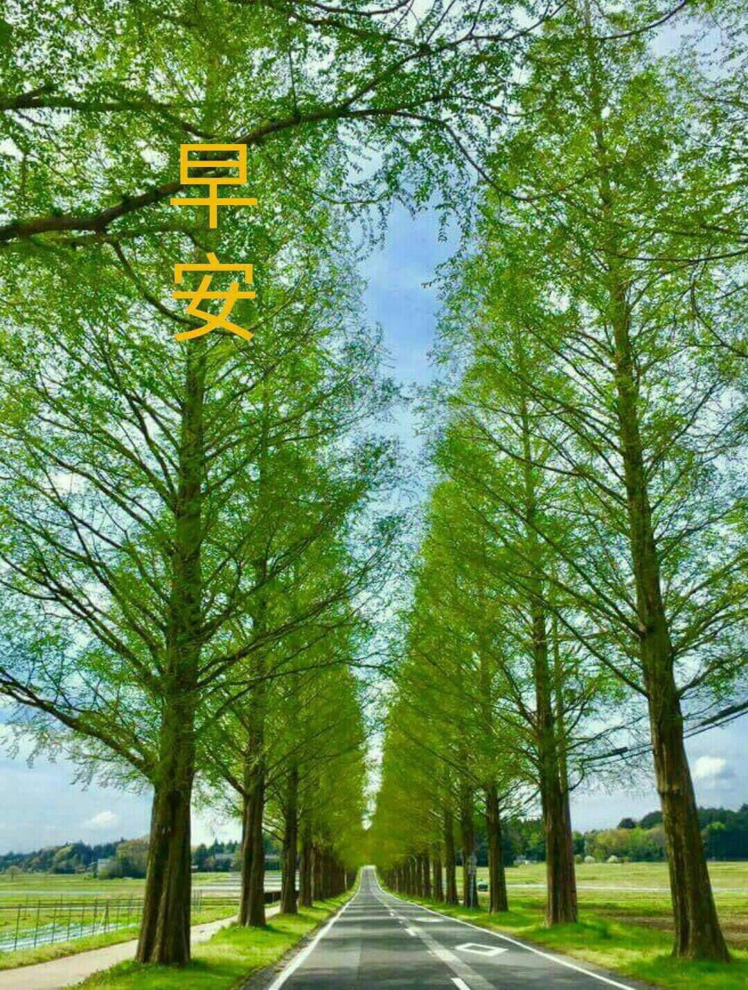 林於貴早安作品0505.jpg