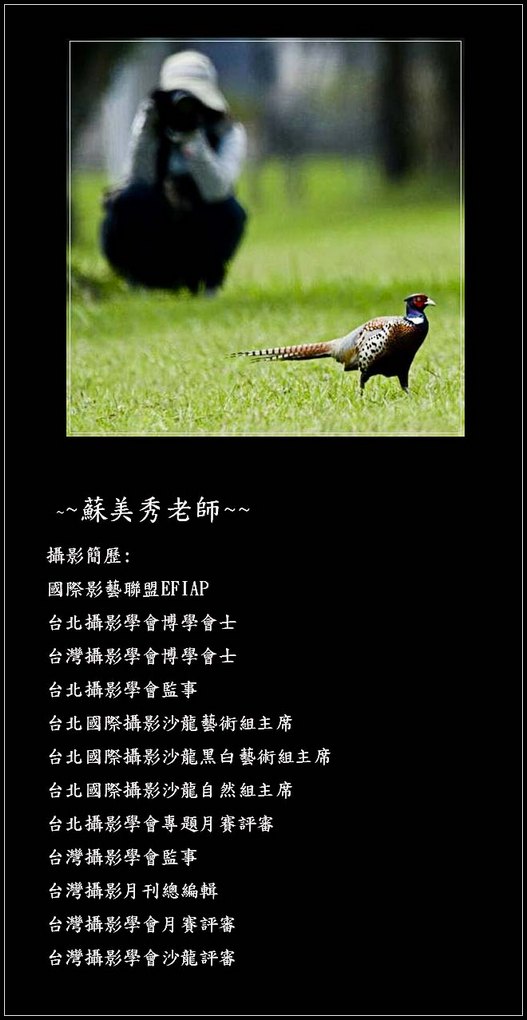 A080725Aa.jpg