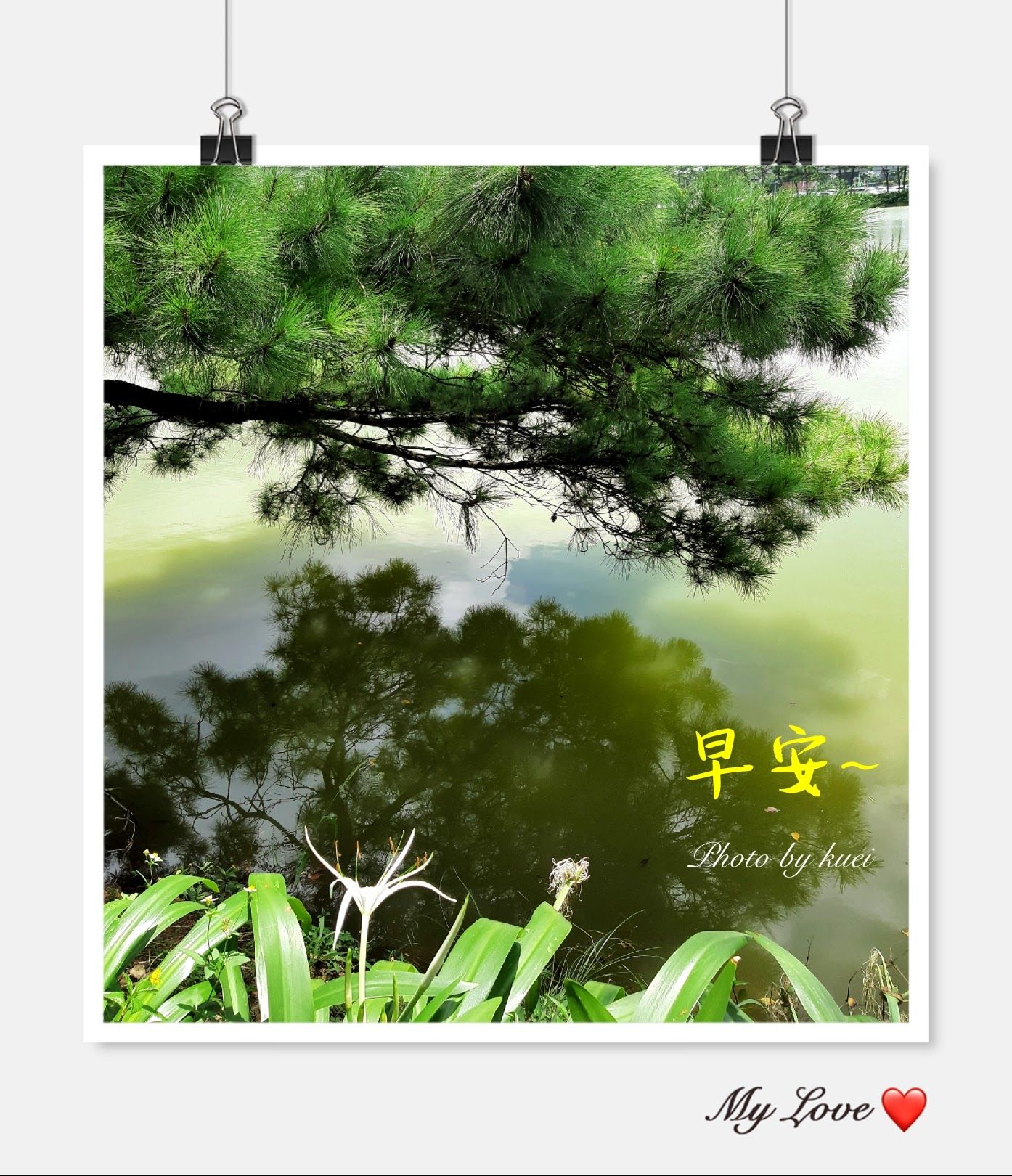 林於貴早安作品20190719.jpg