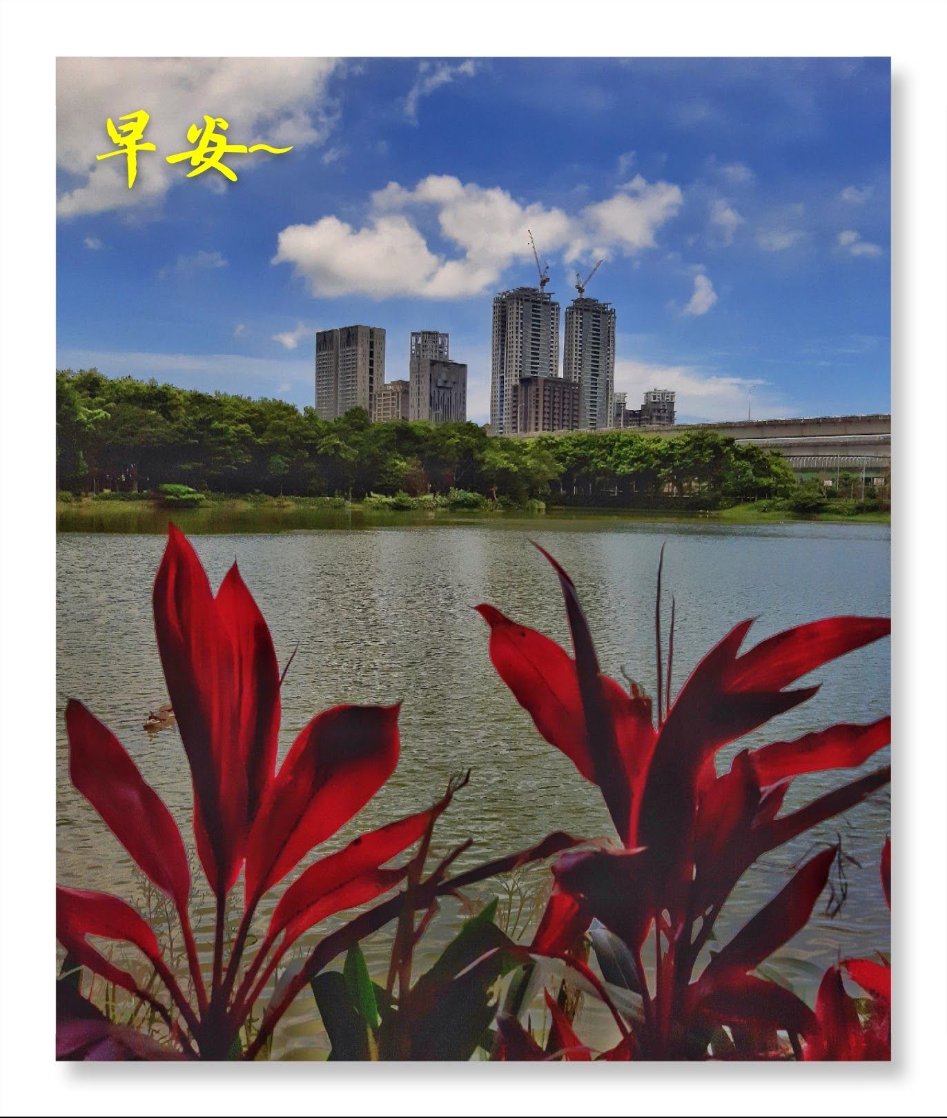 林於貴早安作品20190717.jpg
