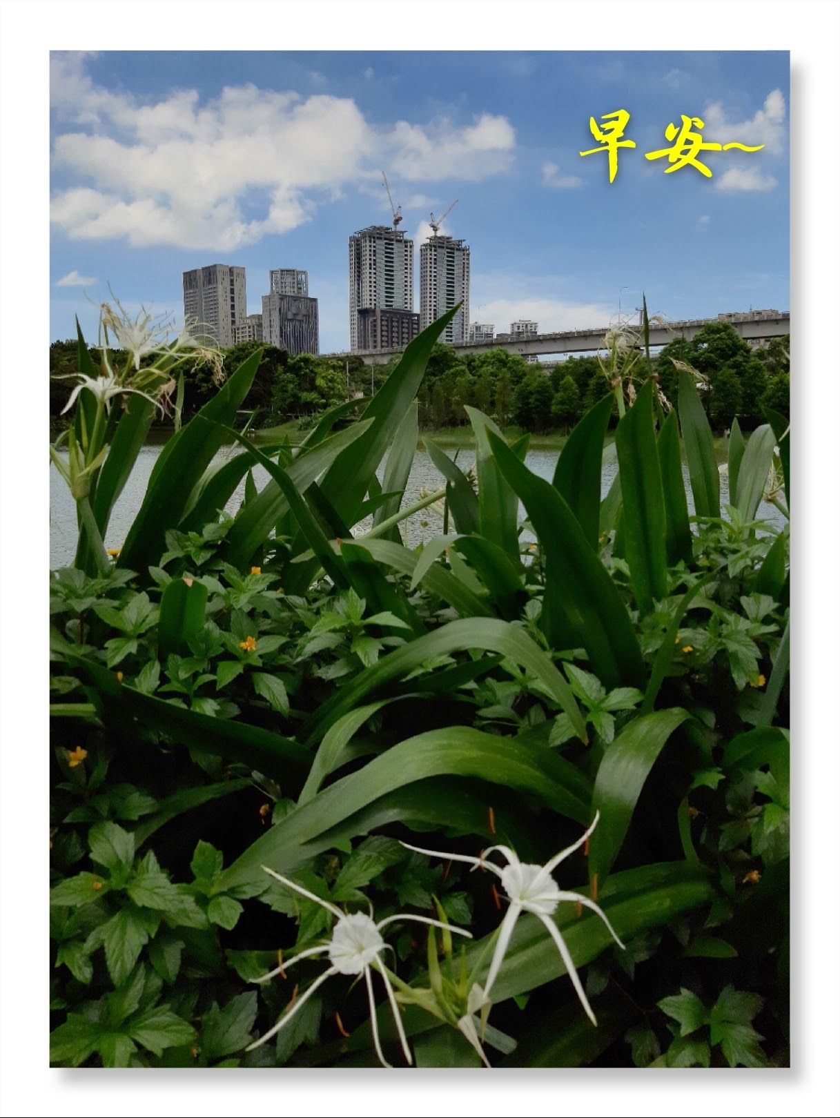 林於貴早安作品20190716.jpg