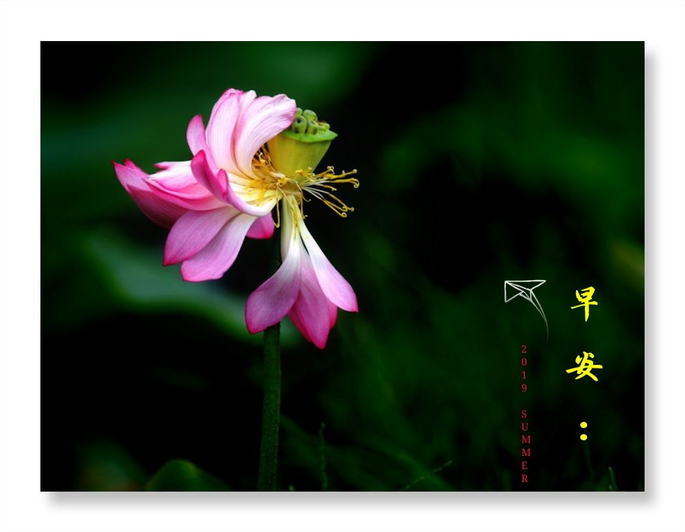 林於貴早安作品20190803.jpg