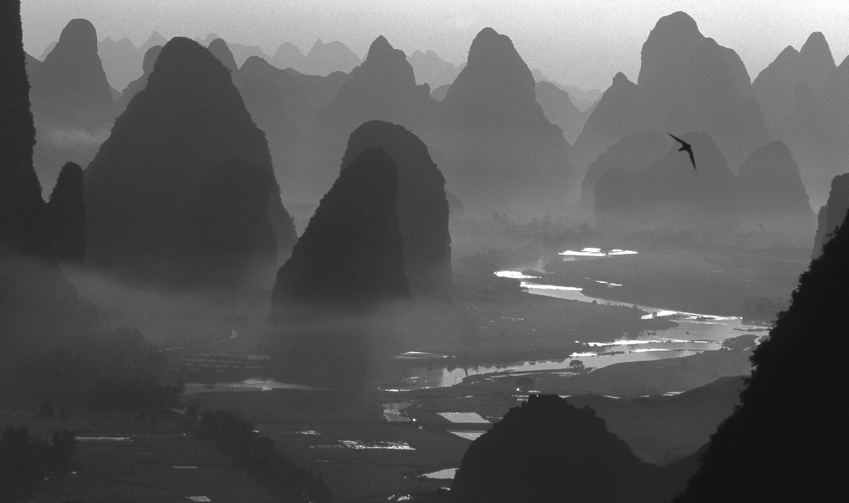 1黑白.jpg