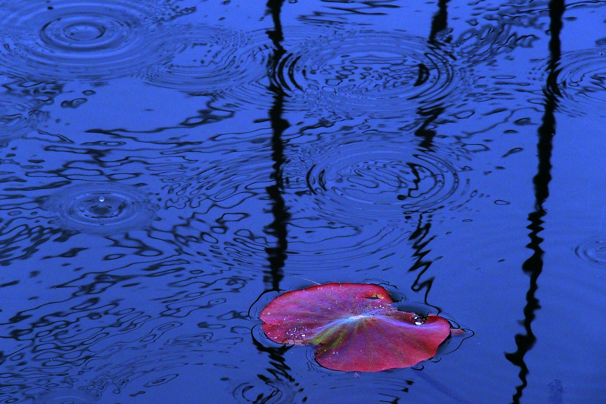 15-P3070426-8-12-.jpg
