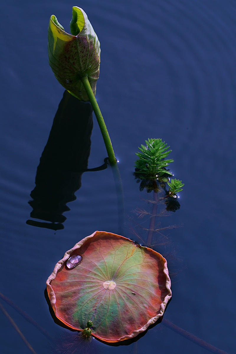 0006-11.jpg