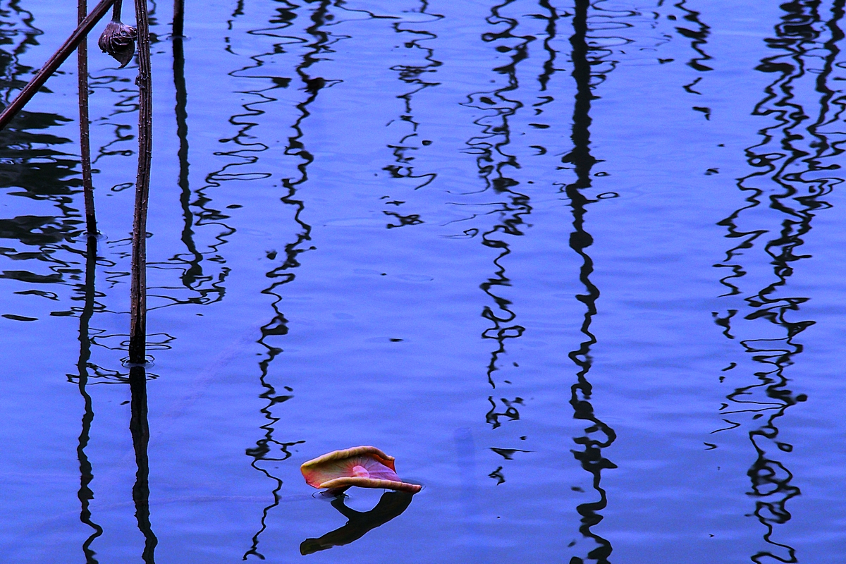 P3150207-8-12-.jpg