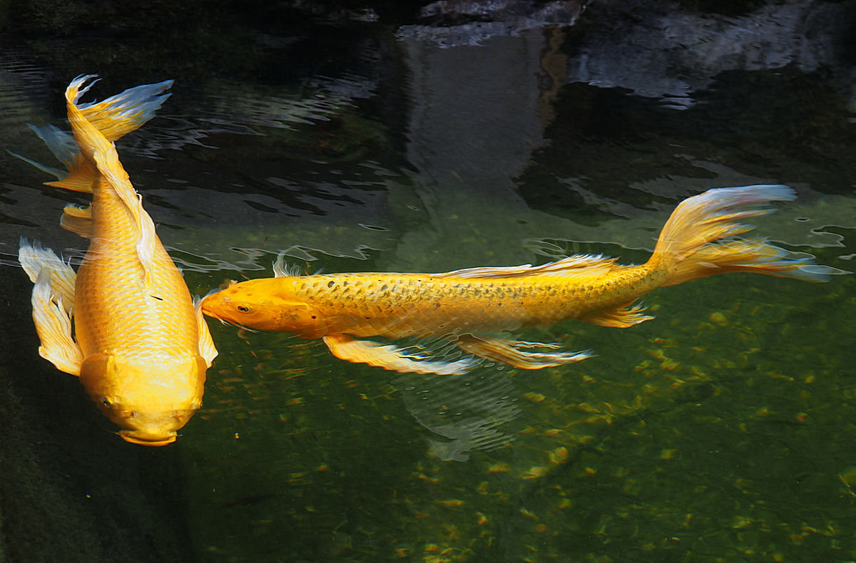 P5230083-8-12-aa.jpg