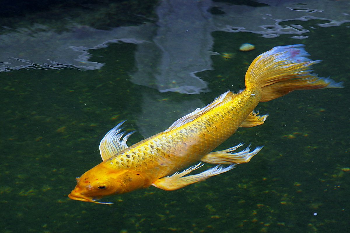 P5230115-8-10-.jpg