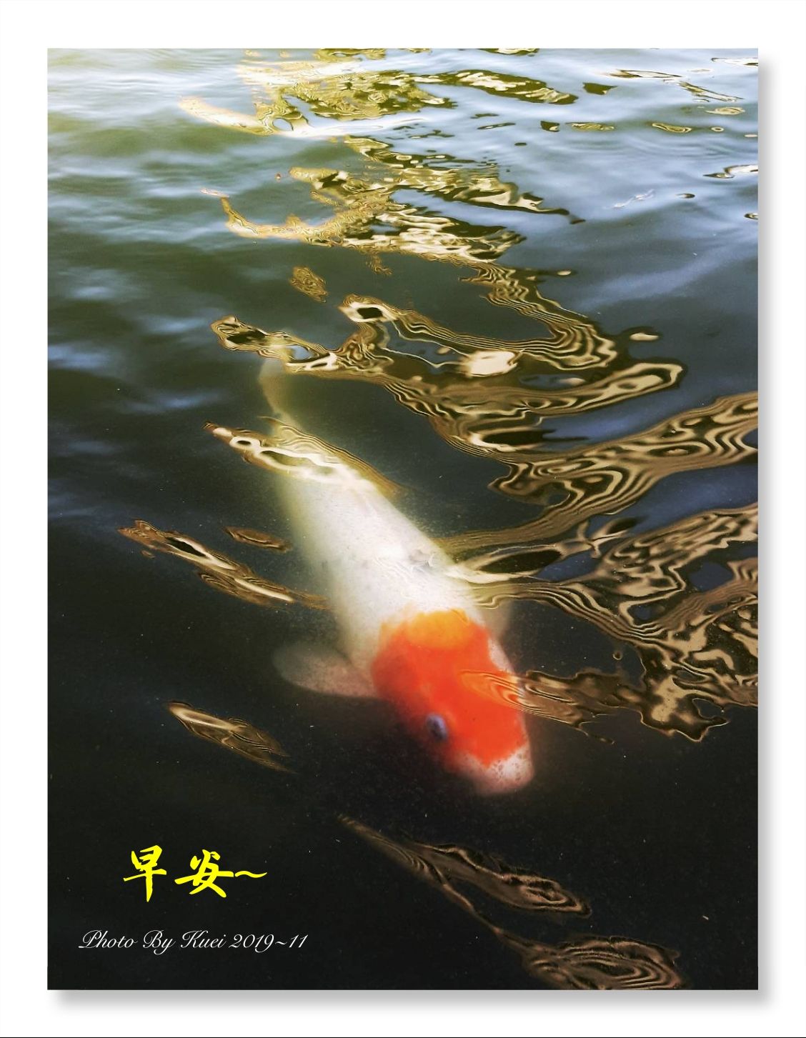 林於貴早安作品20191109.jpg