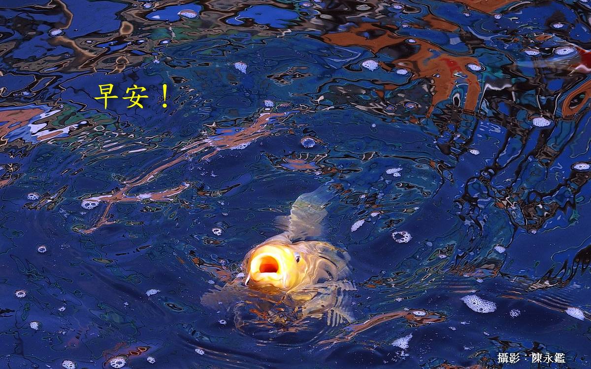 陳永鑑早安作品20191210.jpg