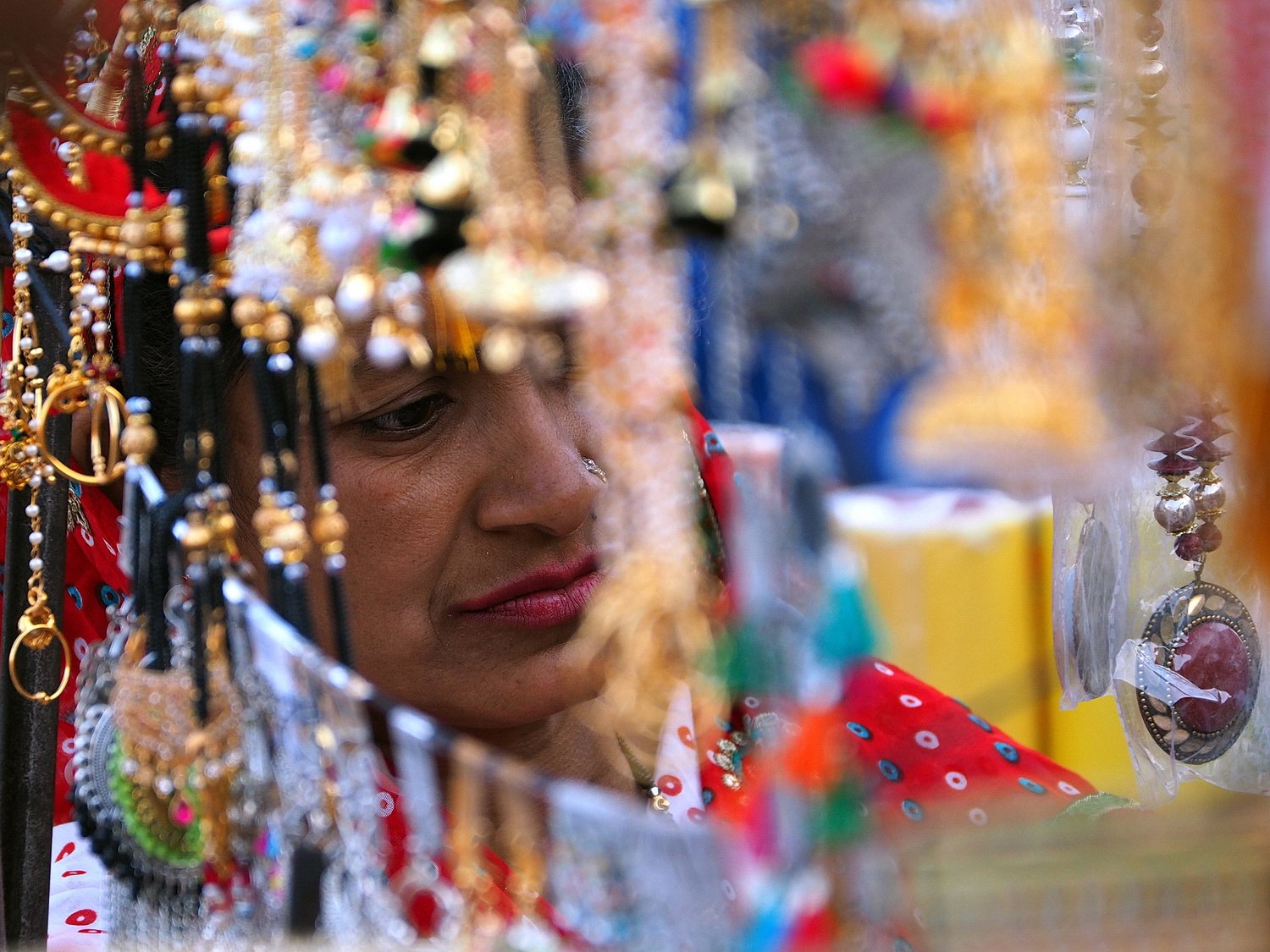 P3150363-12-16-aa.JPG