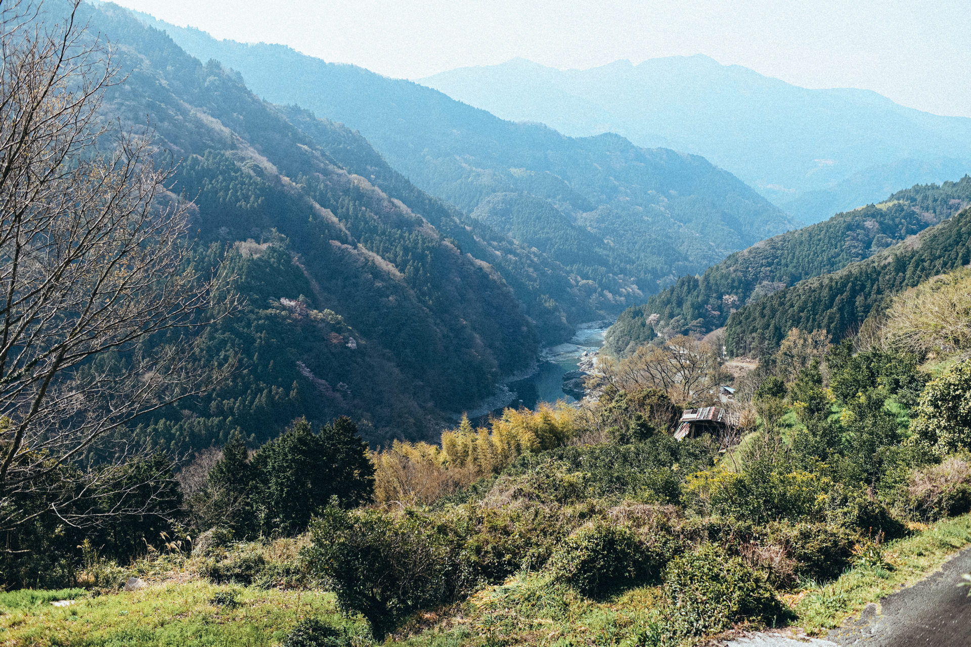 DSC_8800_1_小.jpg