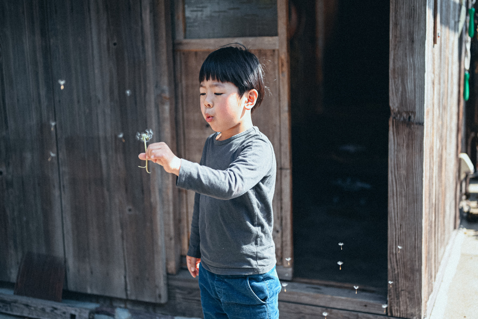DSC_8809_1_小.jpg