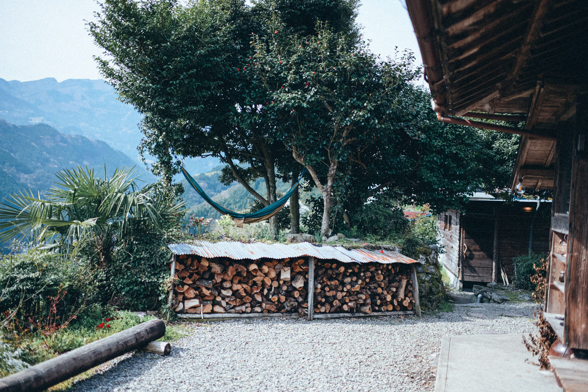 DSC_9569_1_小.jpg