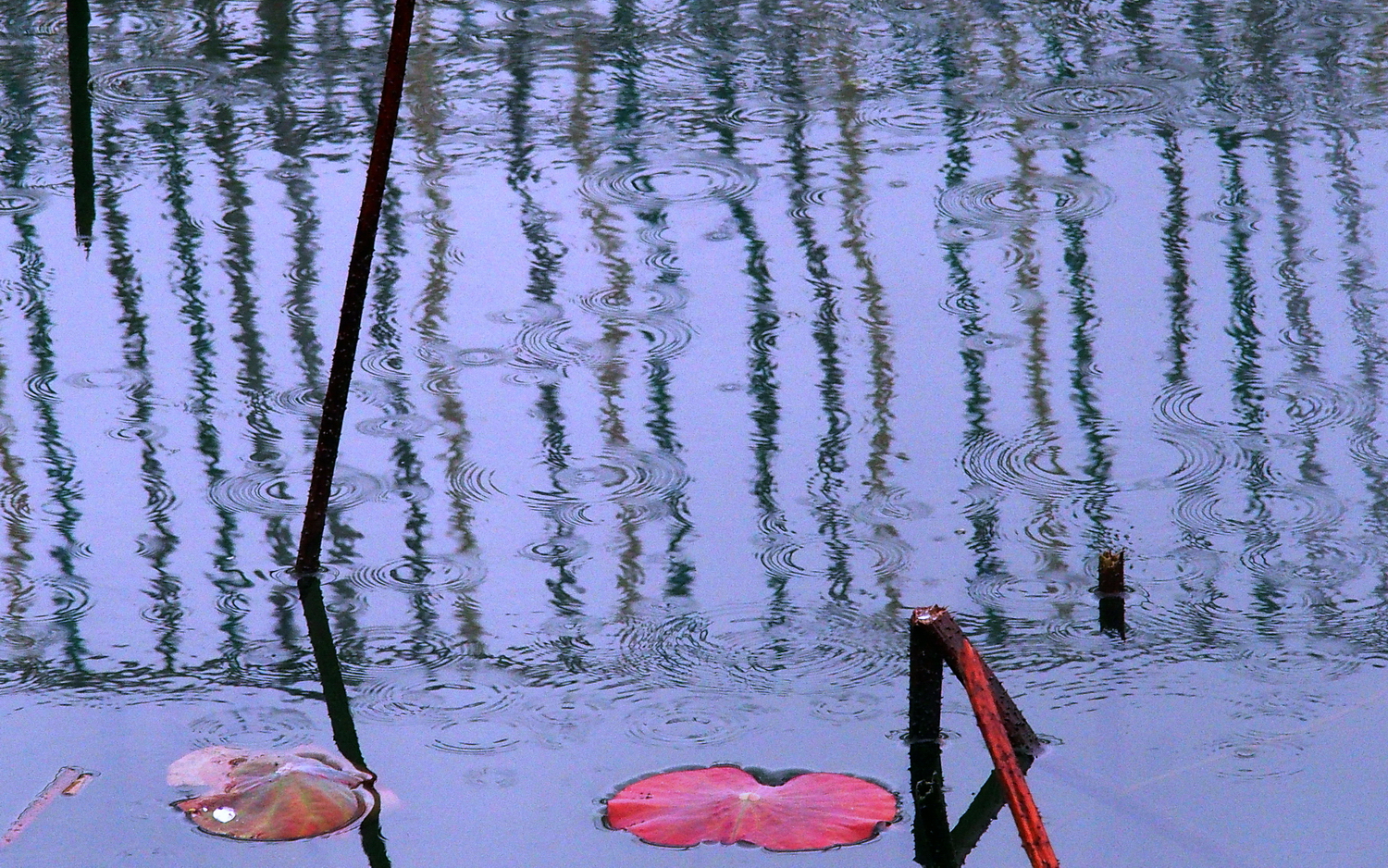 P1120156-16-10-.JPG