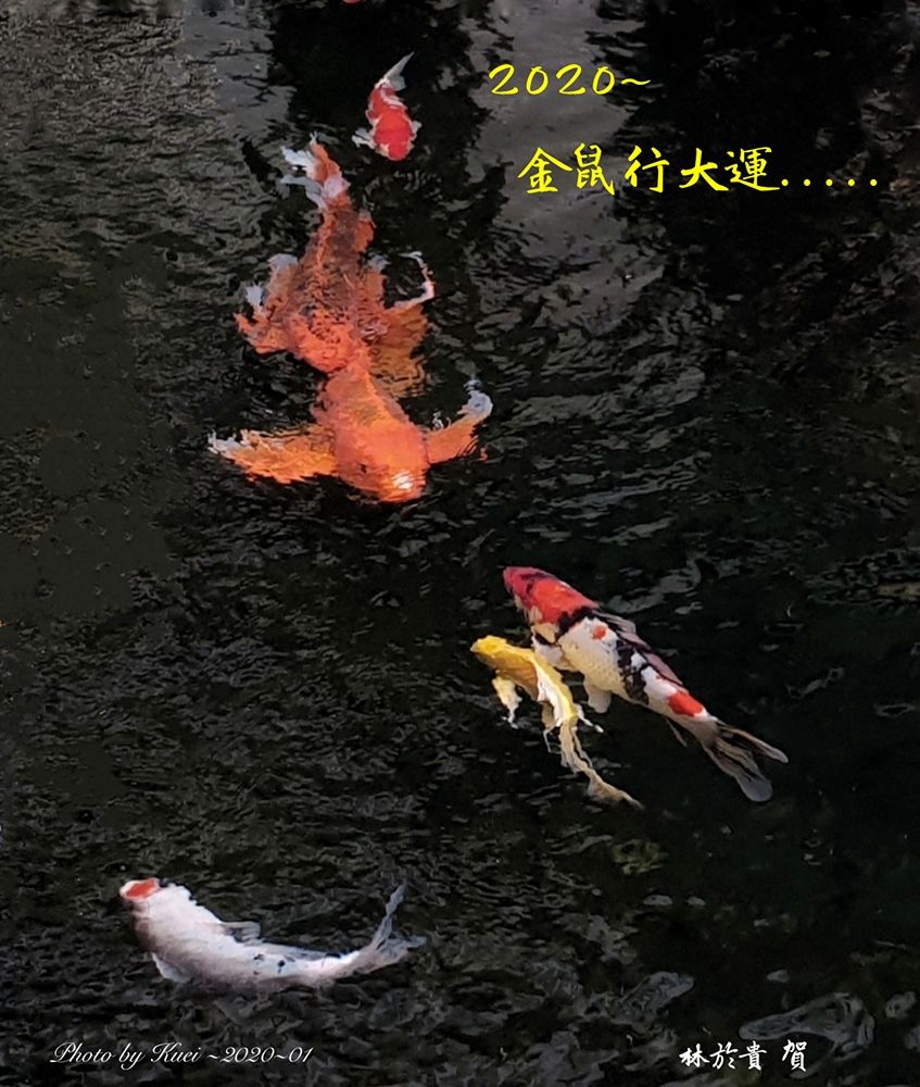 林於貴早安作品0124a.jpg
