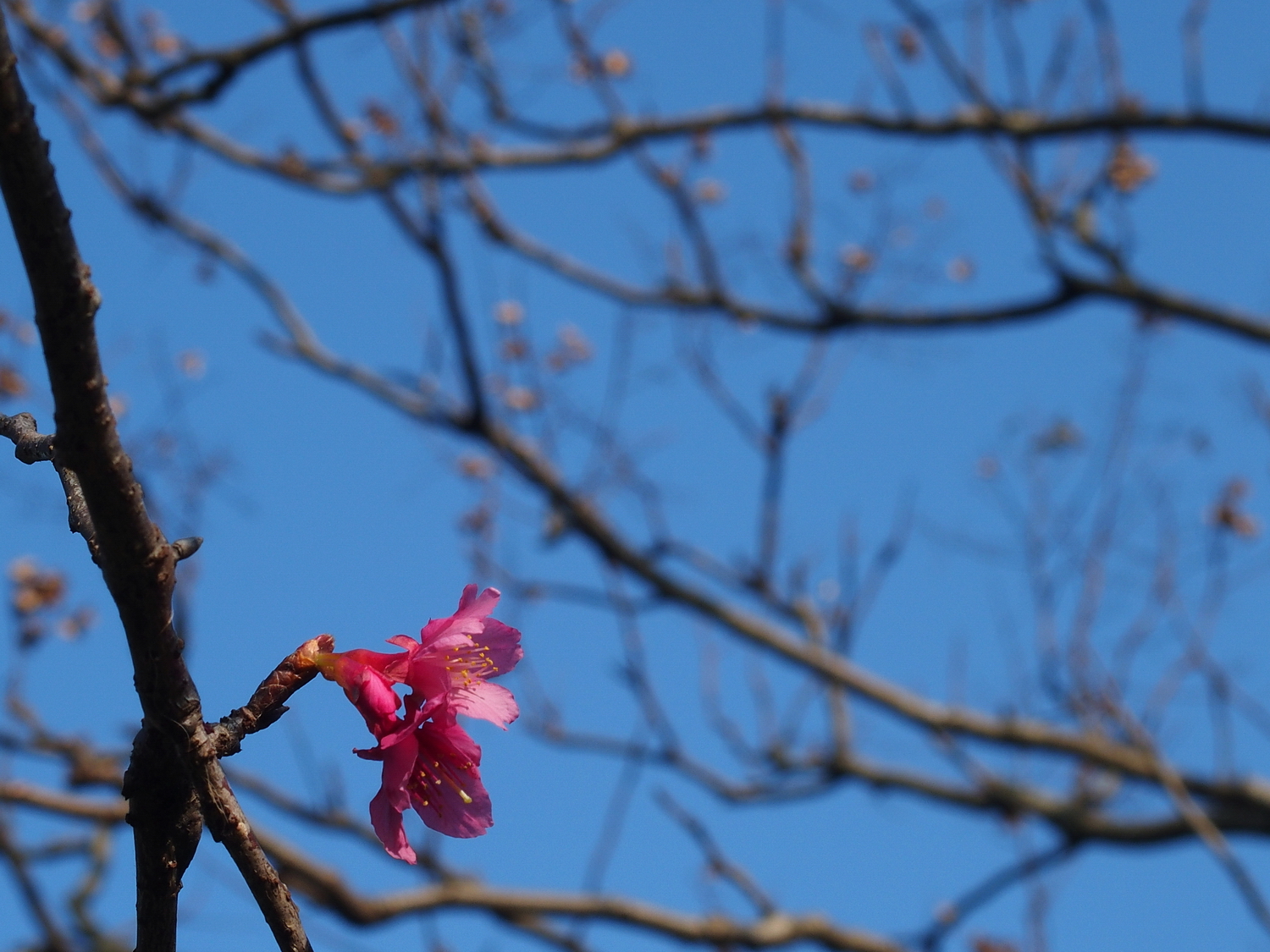 P2010037-4-3-.JPG