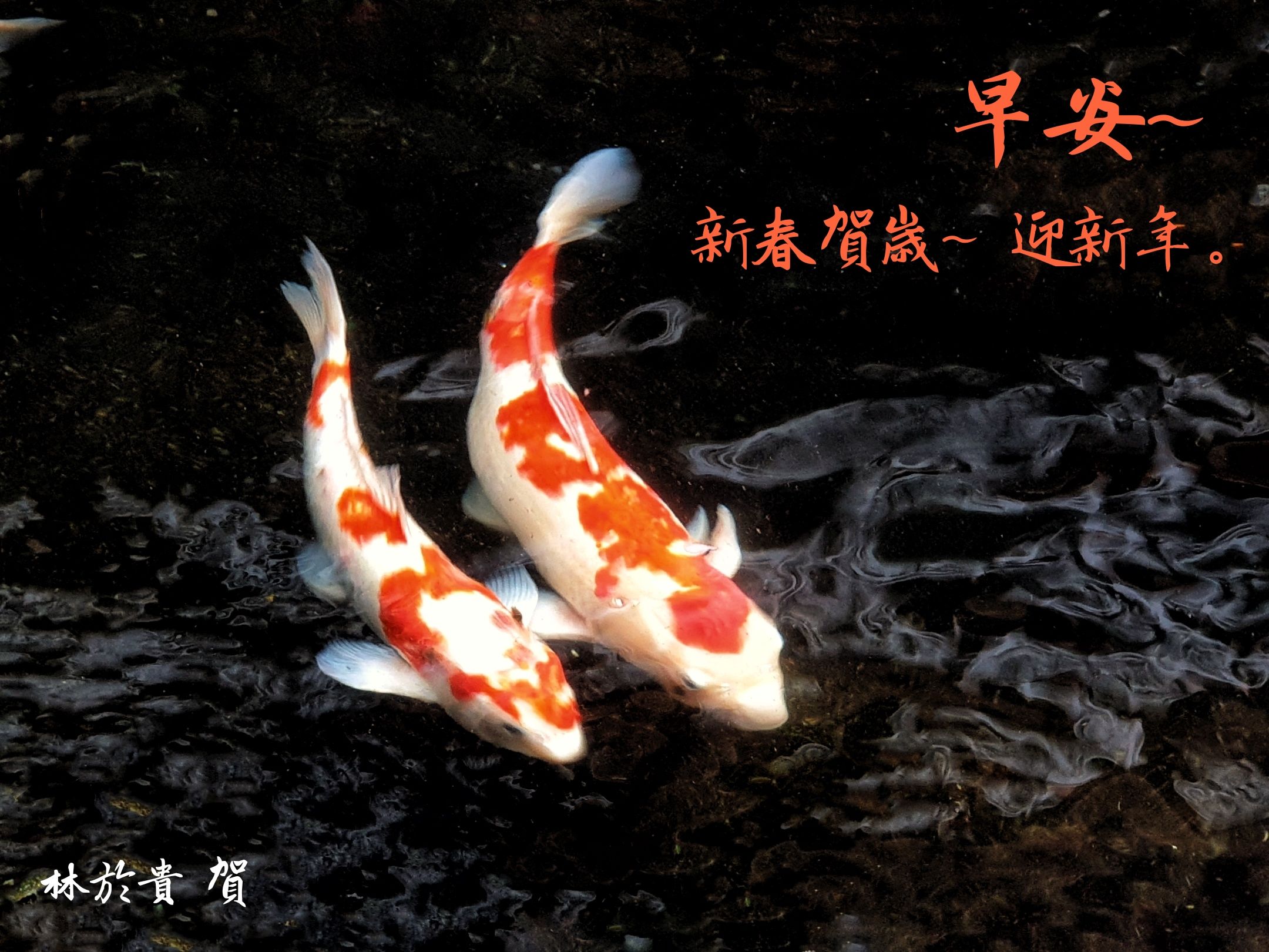 林於貴早安作品20200127.jpg