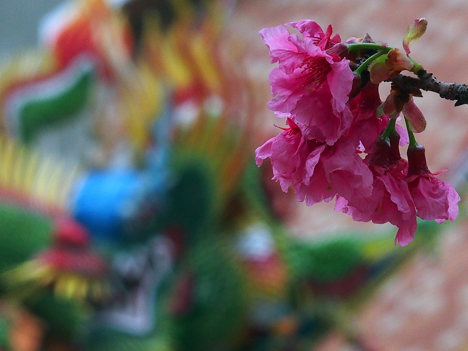 陳永鑑櫻花作品20200307b.jpg