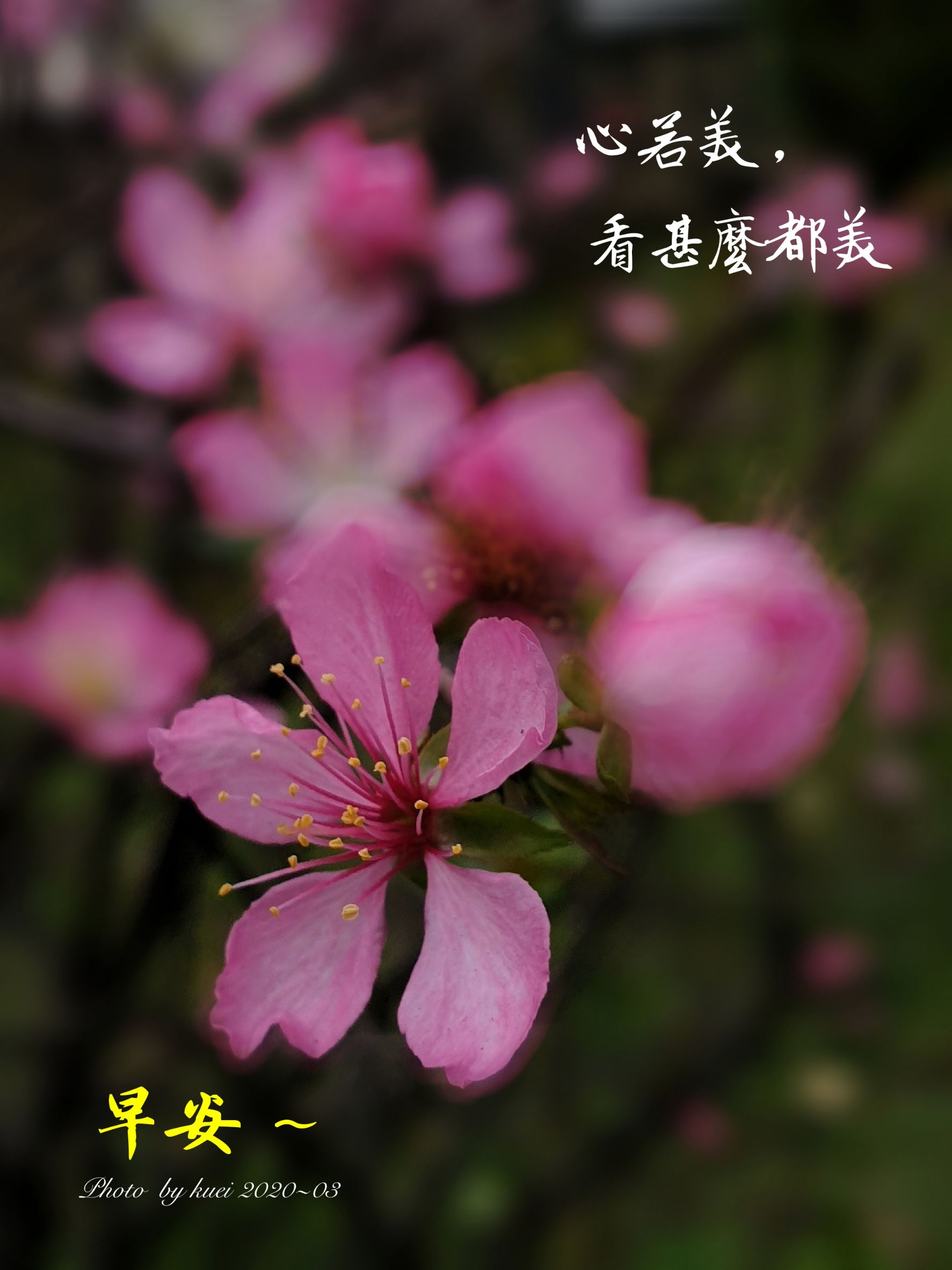林於貴早安作品20200308.jpg