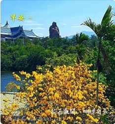 林於貴早安作品20200316.jpg