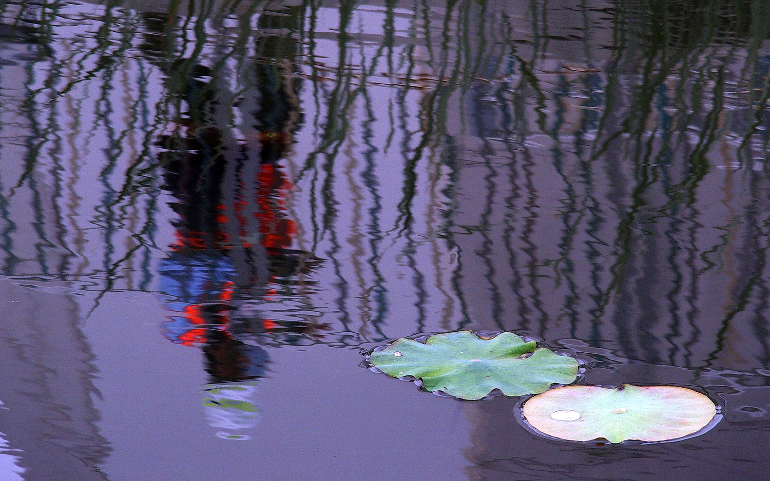 P4010068-16-10-.JPG