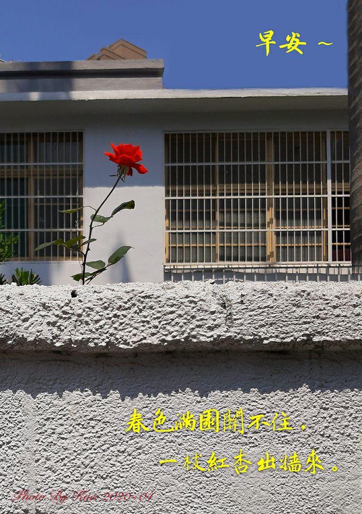 林於貴早安作品20200411.jpg