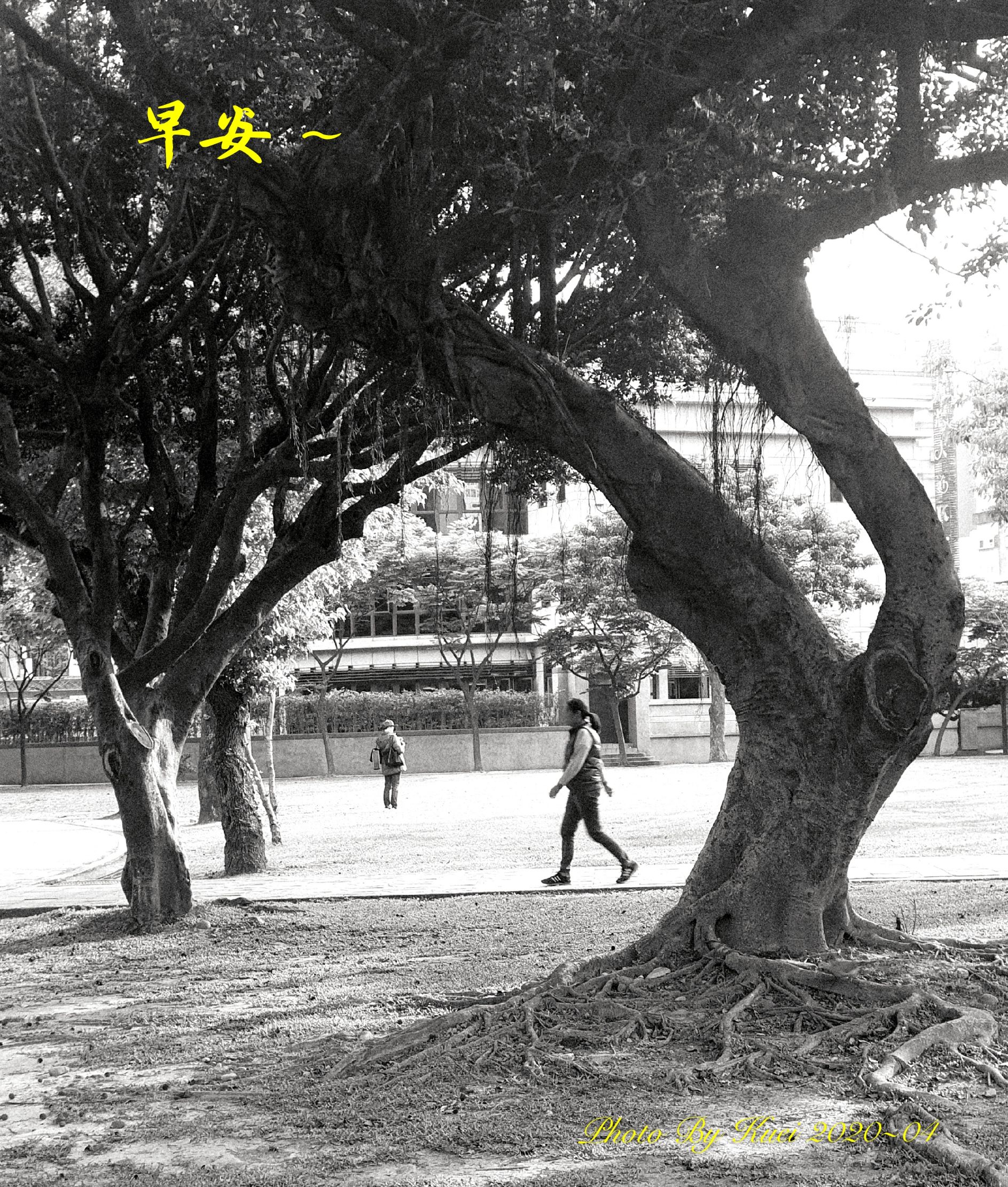林於貴早安作品20200416.jpg