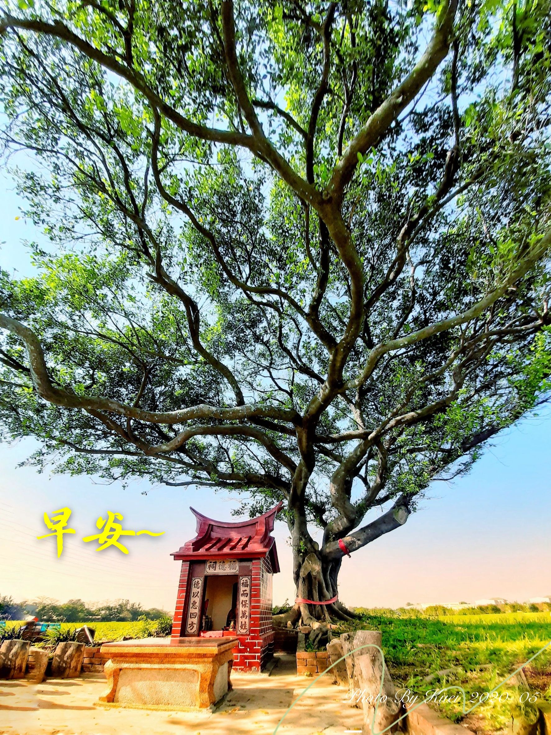 林於貴早安作品20200512.jpg