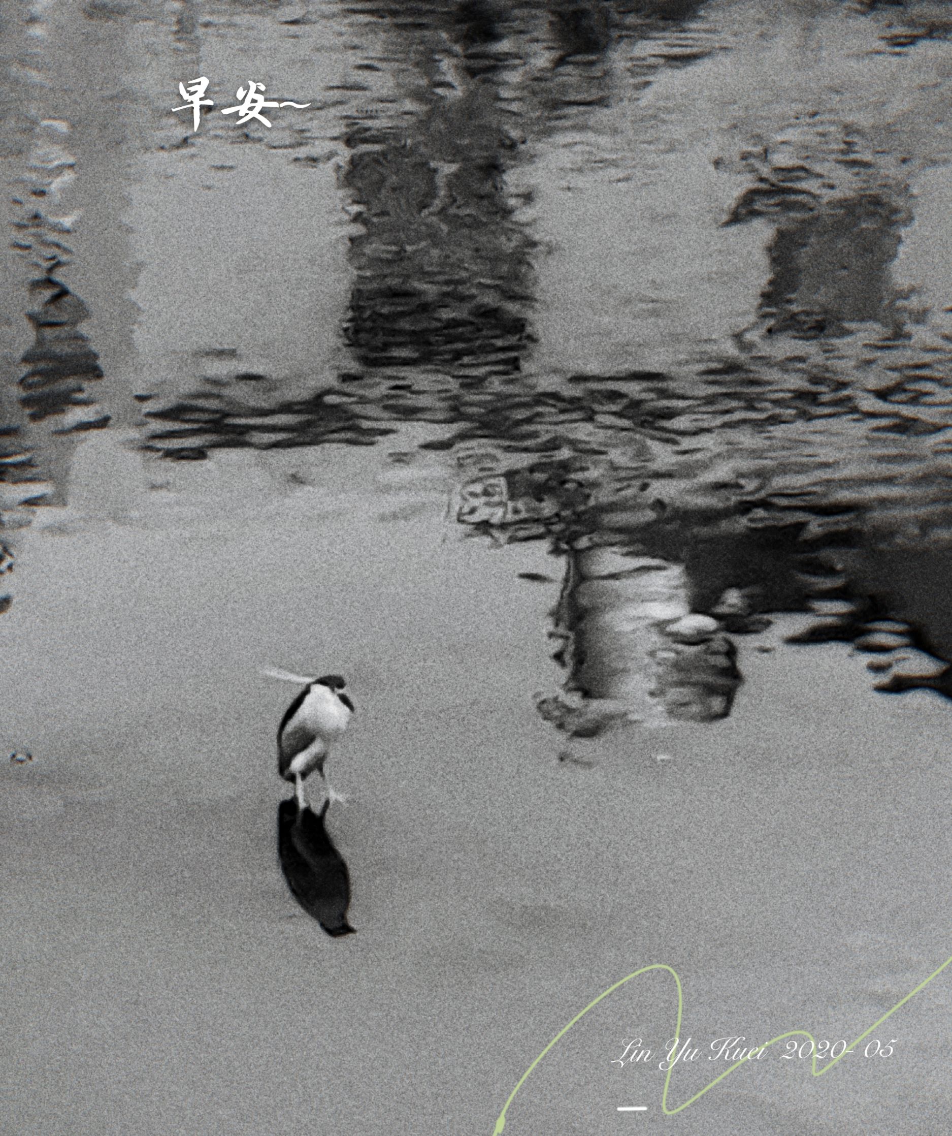 林於貴早安作品20200519.jpg