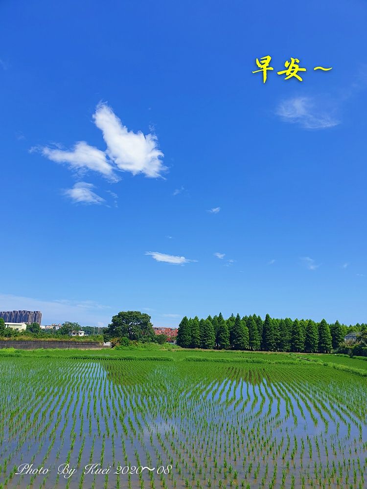 林於貴早安作品20200823.jpg