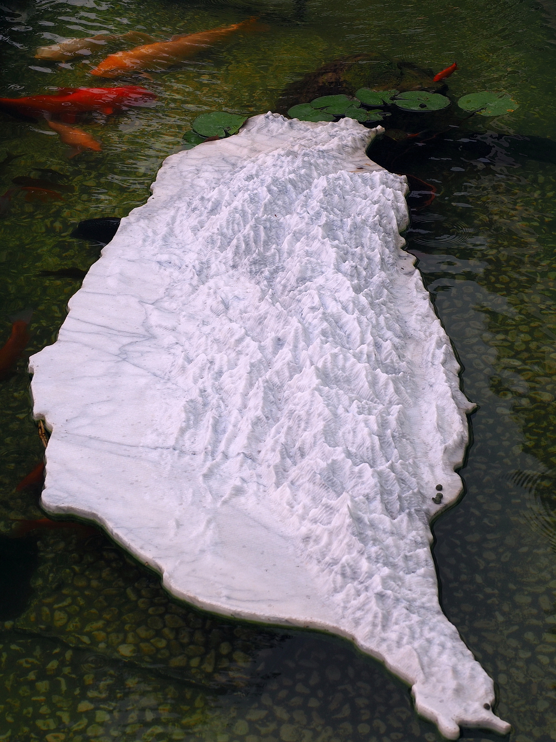 陳永鑑_錦鯉遊緃_20200910a.jpg
