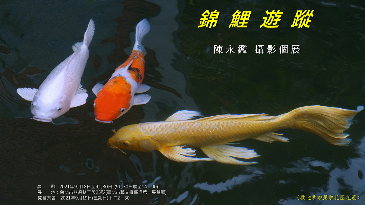 陳老師_錦鯉遊蹤展海報1.jpg