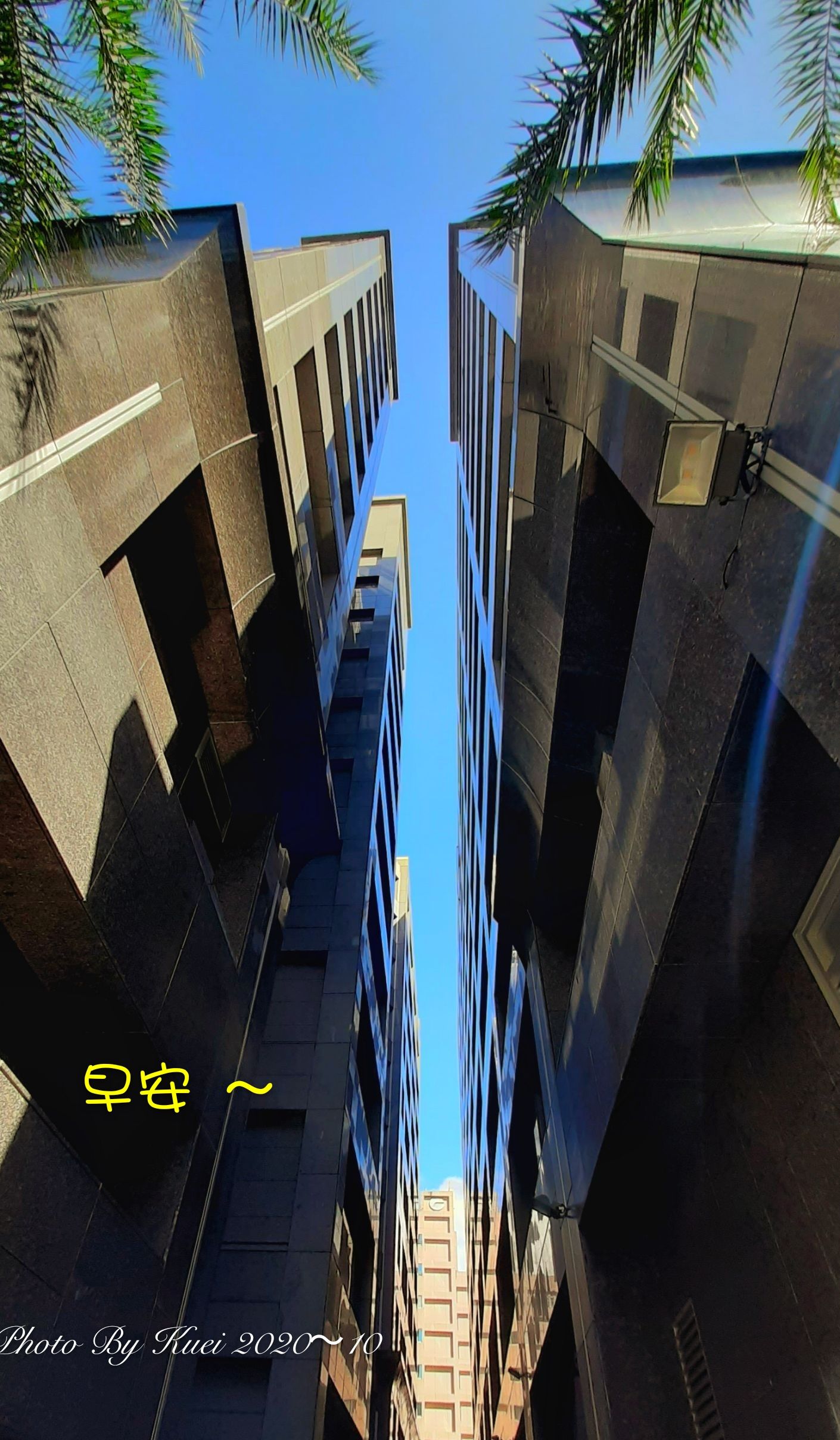 林於貴早安作品20201027.jpg