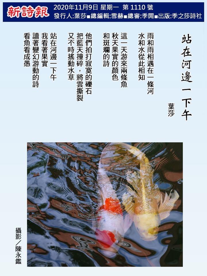 陳永鑑_錦鯉遊緃_20201103As.jpg