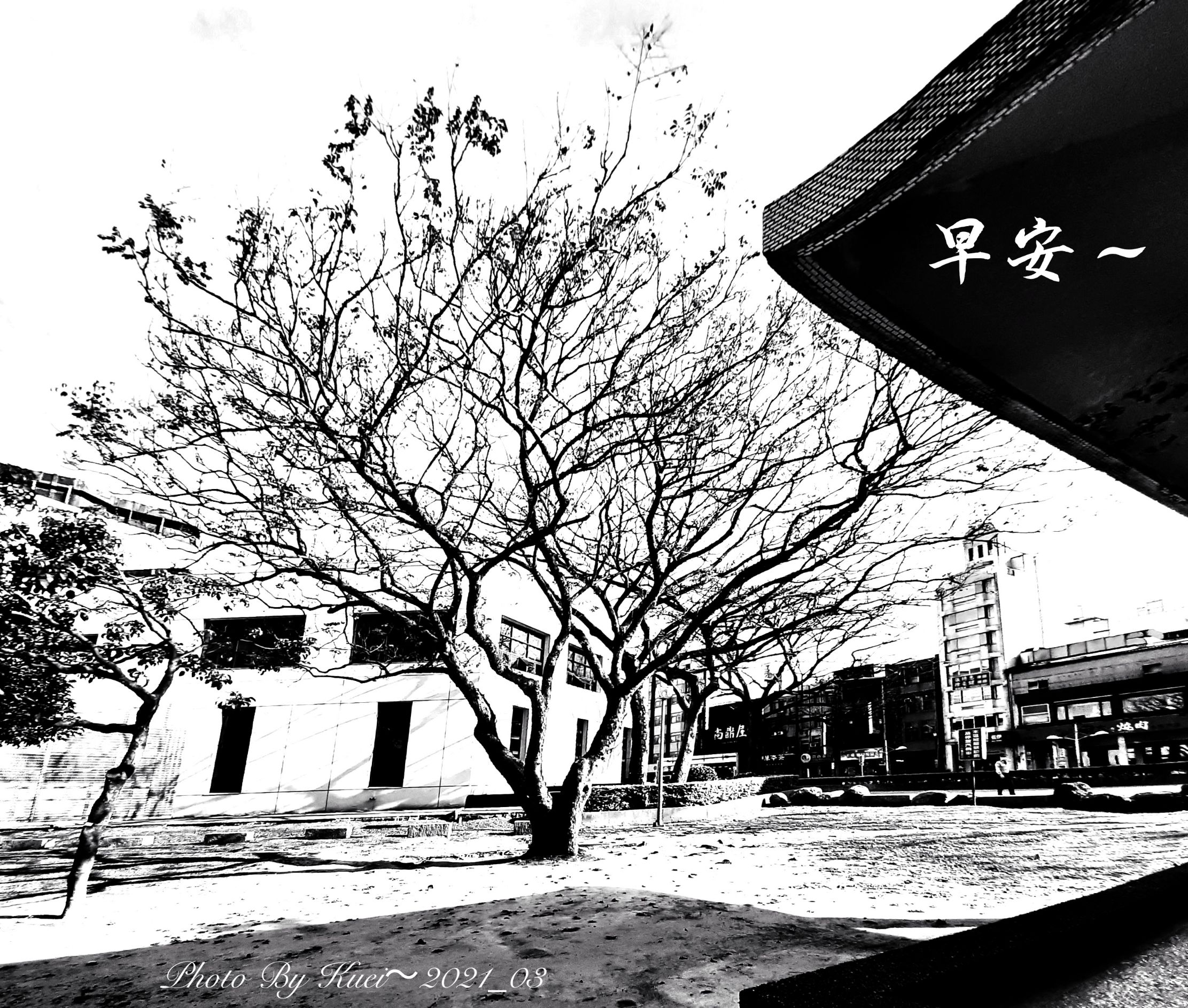 林於貴早安作品20210310.jpg