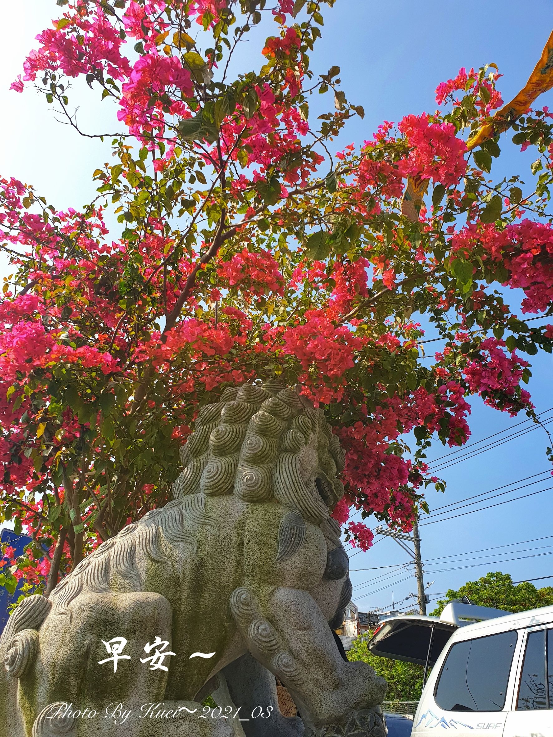 林於貴早安作品20210316.jpg