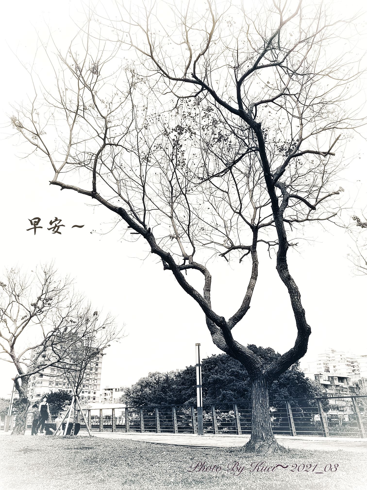 林於貴早安作品20210314.jpg
