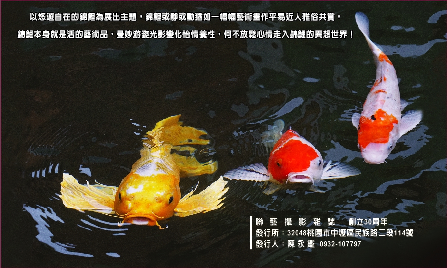 陳永鑑_錦鯉遊踨_20210809a.jpg