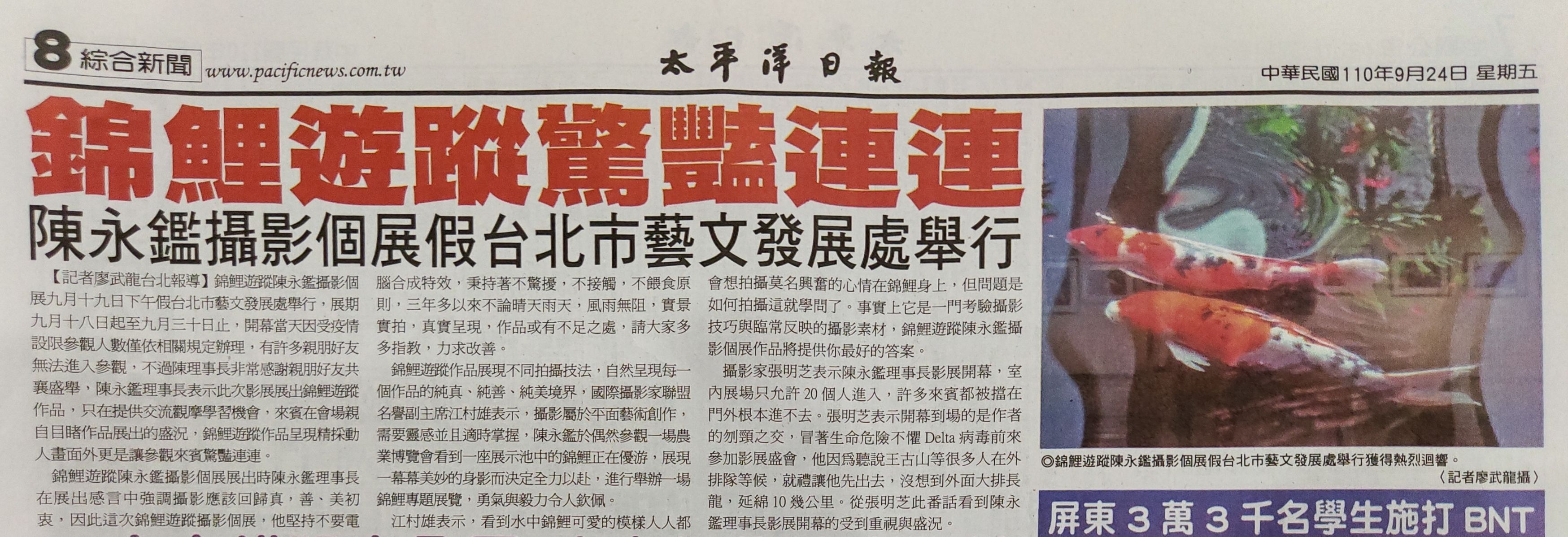 陳永鑑_錦鯉遊緃_展覽上報.jpg