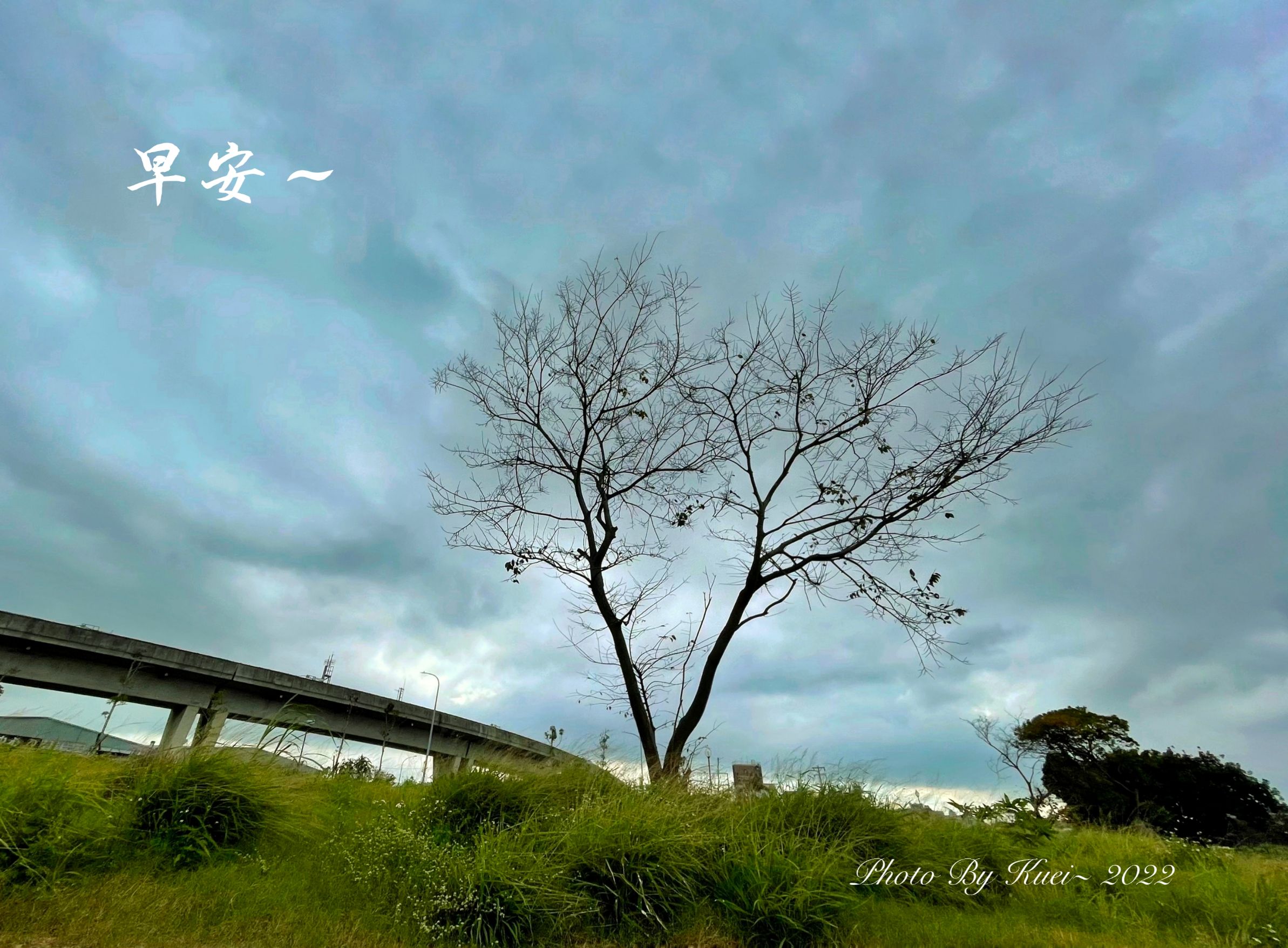 林於貴早安作品20220107.jpg